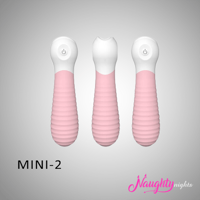 Mini 2 USB Powered Discreet Vibrator